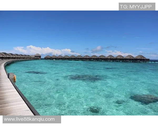 中国对阵马尔代夫在线直播全程回顾与精彩瞬间分析 中国对阵马尔代夫在线直播全程回顾与精彩瞬间分析